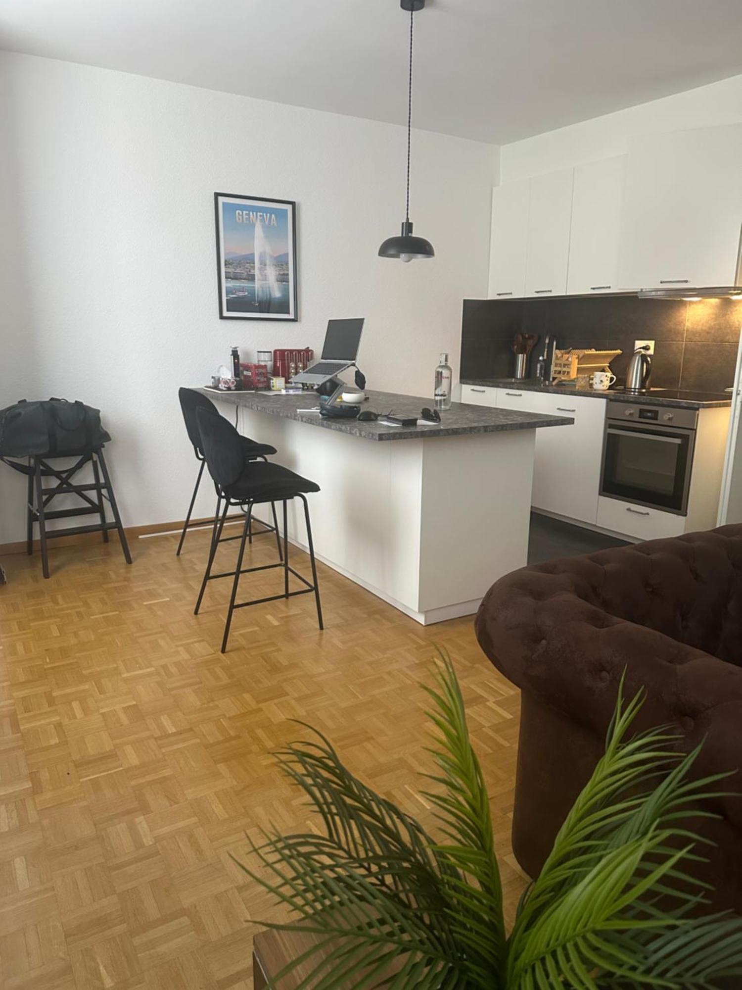 Magnificent Apartment, Center, Apartment Geneva